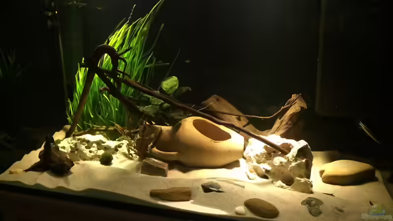 gedimmtes Licht am Abend von Captain Gü (4)