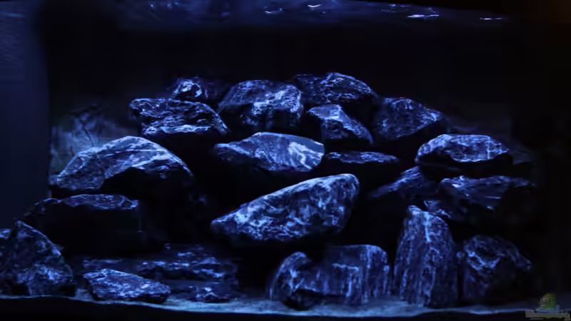 gedimmtes Licht von MHu (7)