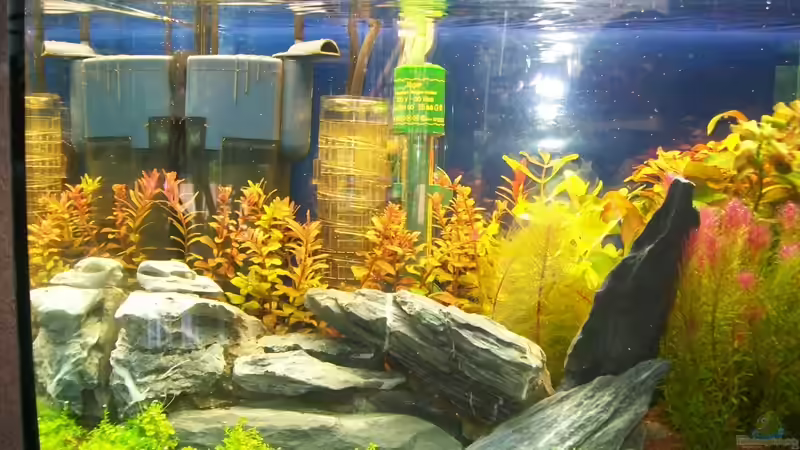 gefällt mir noch nicht ganz von sascha74 (14)