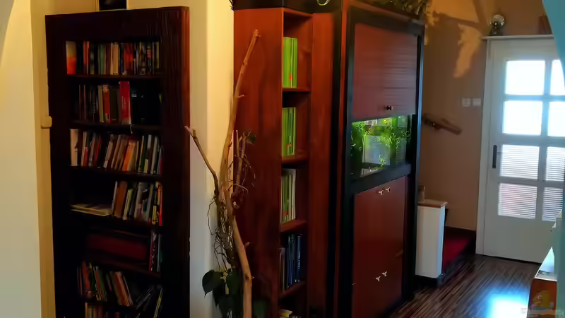 Geheimtür geschlossen  von Bermuda 3eck (24)