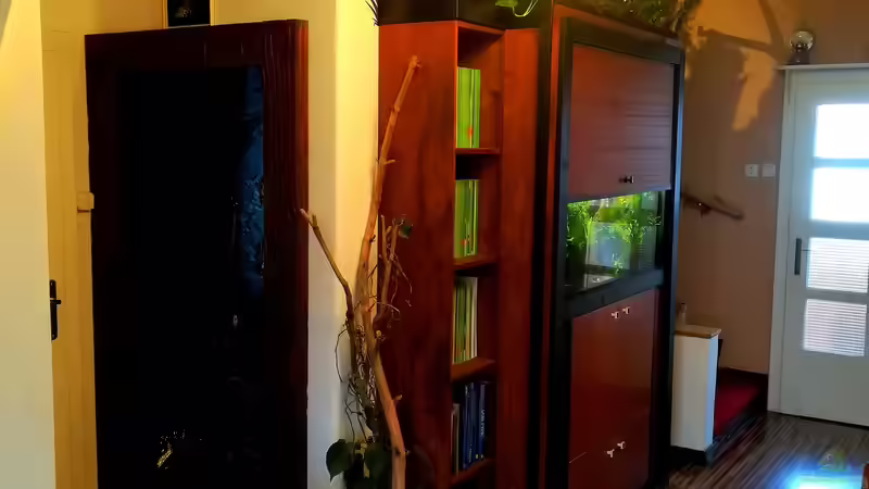 Geheimtür offen von Bermuda 3eck (25)