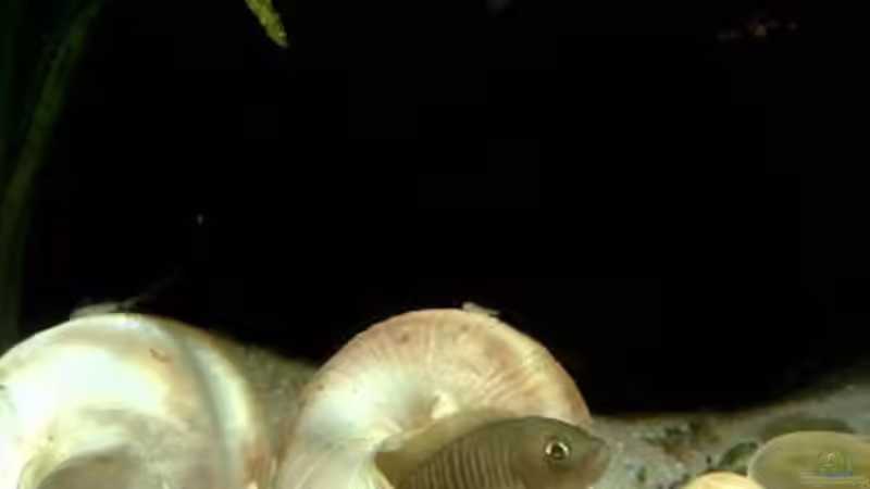 !!geile Bude!! oder?? von Chris_R. (21)