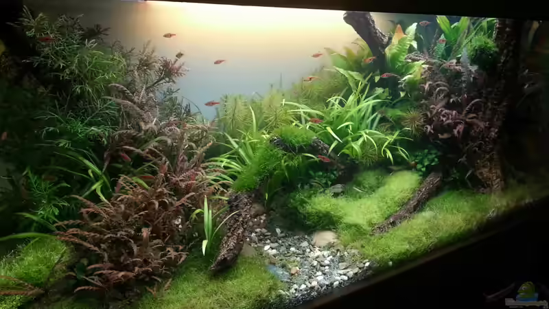 Gelbe Hintergrundbeleuchtung von Marcel Reiter (1)