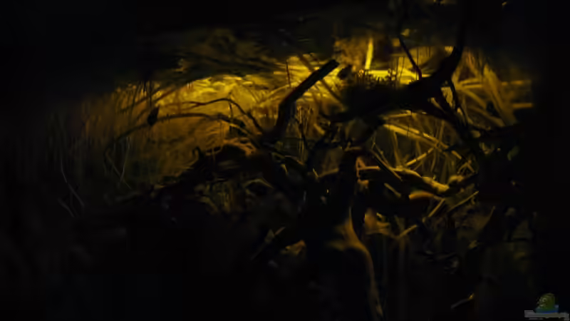 Gelbe LED von Jemafa (9)