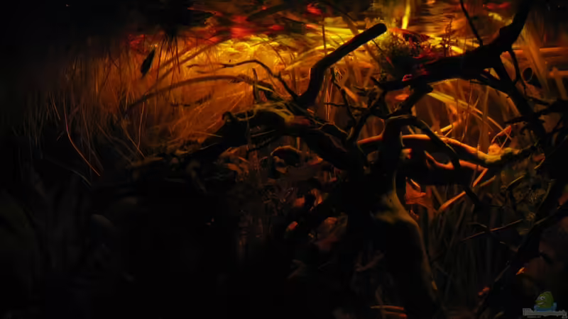 Gelbe und rote LED von Jemafa (10)