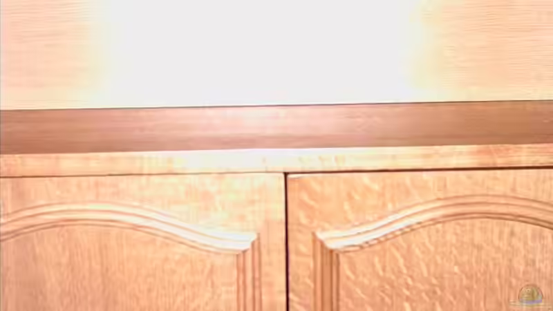 Gelber Fadenfisch von Kai Holdinghausen (28)