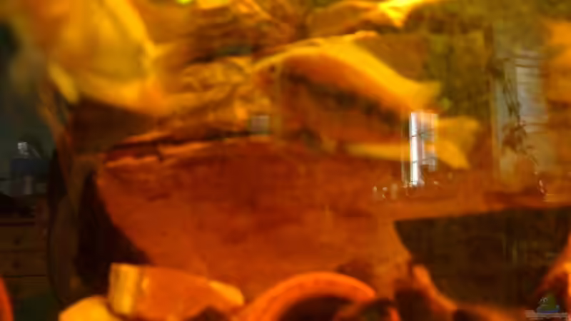 Gelege der zwei! von Mirtscho (7)