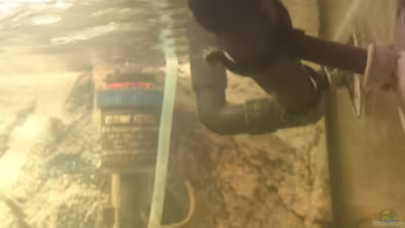 gelochtes Endstück von Frank S (16)