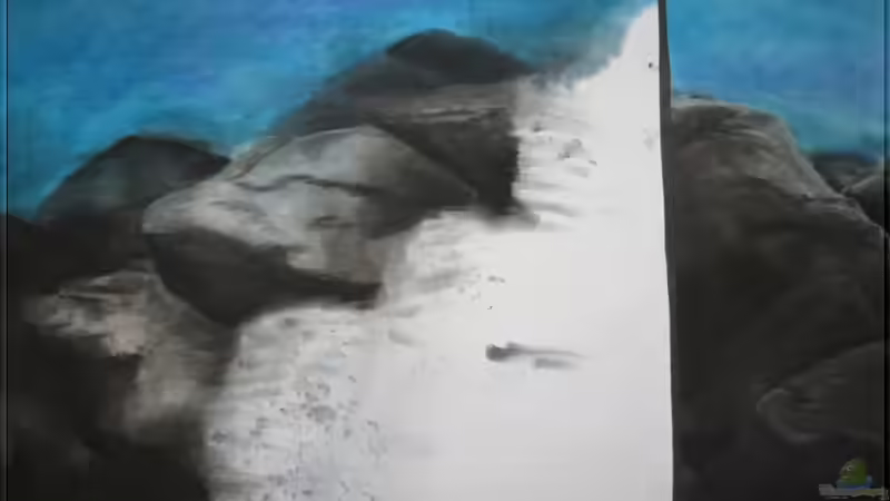 gemalte Rückwand - Unterwasserlandschaft von Pütti (10)