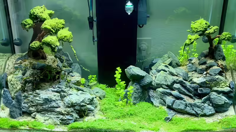 Gemeinsam... Einsam... von Dominic (1)