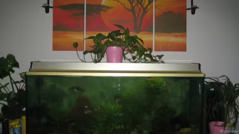 Gemeinschaftsbecken von Florian Kunkel (1)