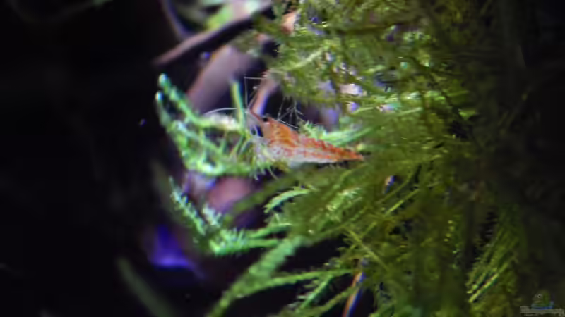 gemütlich von Stefan_S (24)