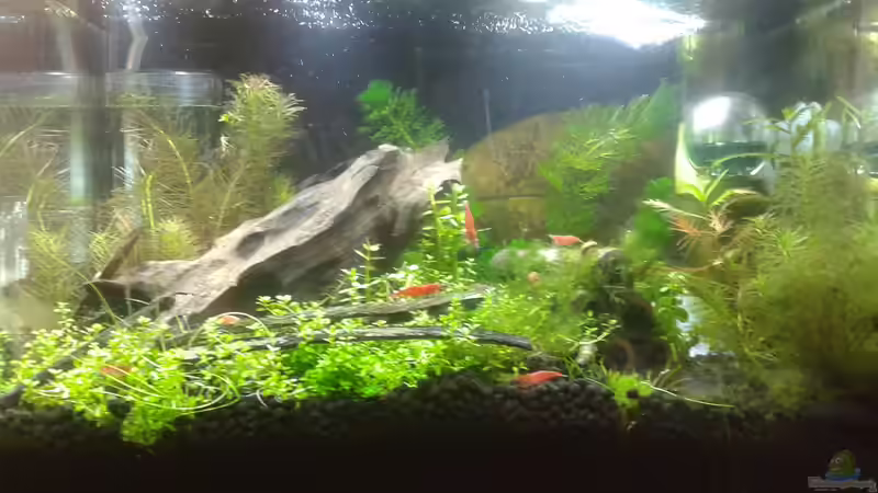 Generalüberholung Mitte 05.2016 von Kai M (7)