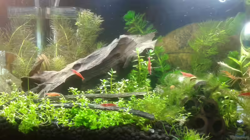 Generalüberholung Mitte 05.2016 von Kai M (8)