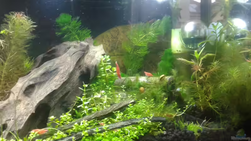 Generalüberholung Mitte 05.2016 von Kai M (9)