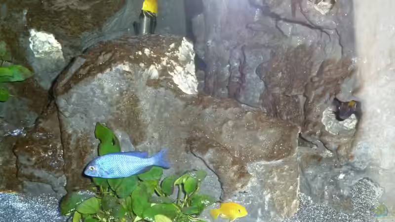 Genug Höhlen zur Auswahl von Couro (6)