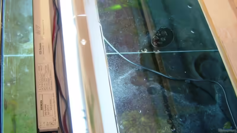 geöffneter Lichtbalken von timme (33)