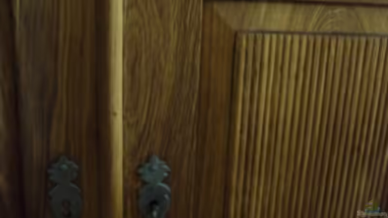 Geölte Schranktüre von schmitzkatze (9)