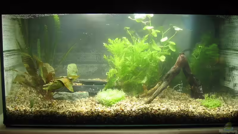 gerade eingerichtet 16.09.09