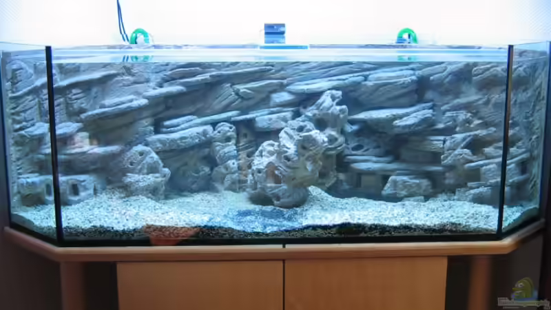 Gerade fertig...noch ohne Fische..