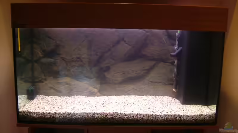 Gerade geflutetes Becken von Thomas Geib (2)