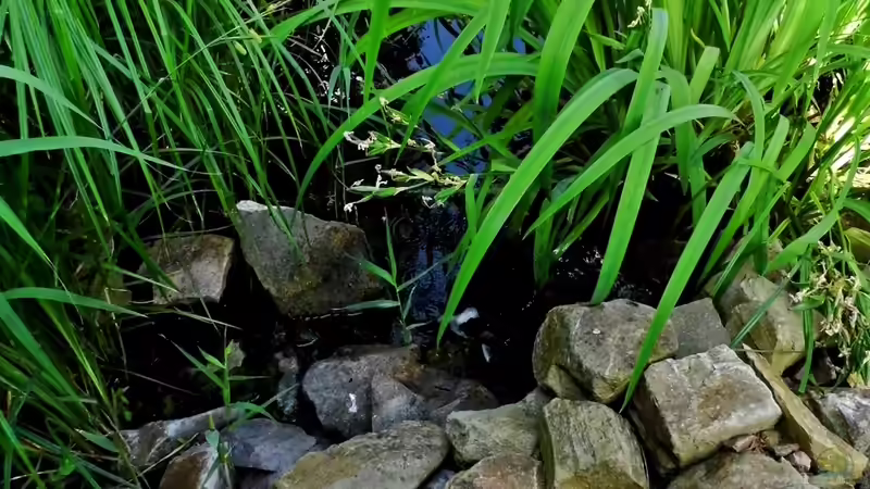 Geröllhalde mit Wasserfall Juni 2014 von snooze (17)