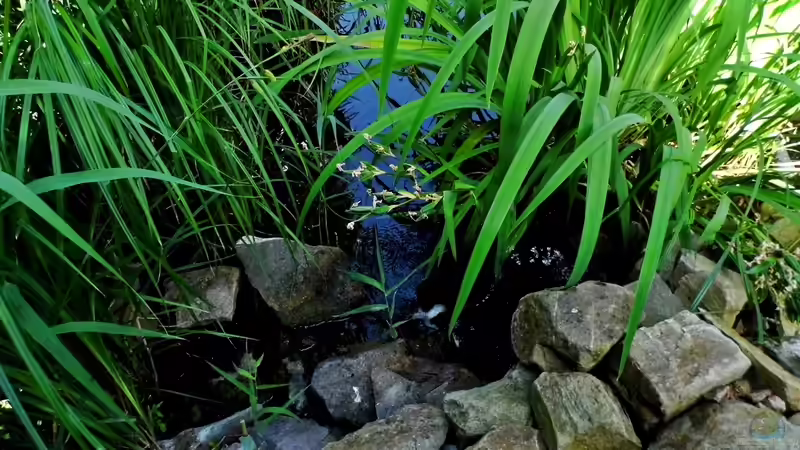 Geröllhalde mit Wasserfall Juni 2014 von snooze (18)