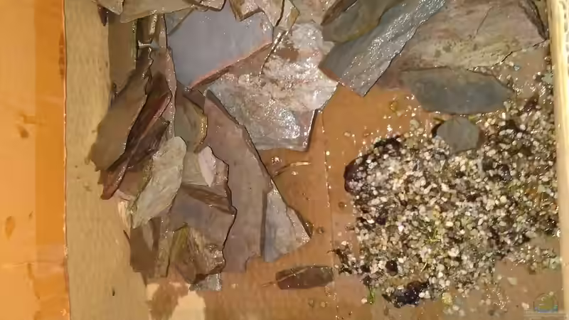 Gesammelter roter Schiefer für die Terrassen. von AdrianSoS (43)