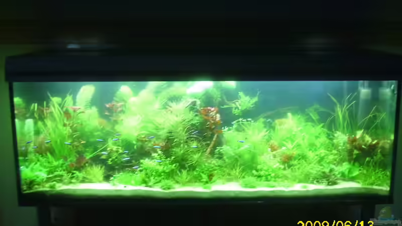 gesammt ansicht  von Herbert Baier (17)