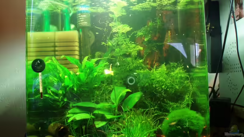 Gesammt Ansicht 13.07.2009 von Skar (1)