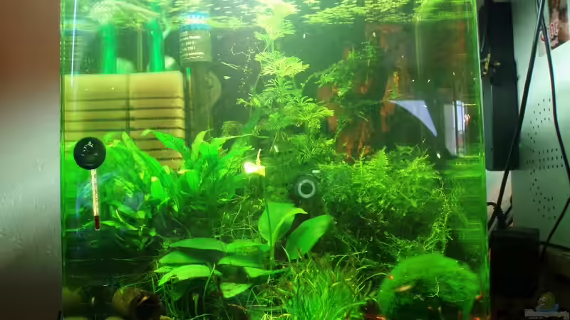 Gesammt Ansicht 13.07.2009 von Skar (2)