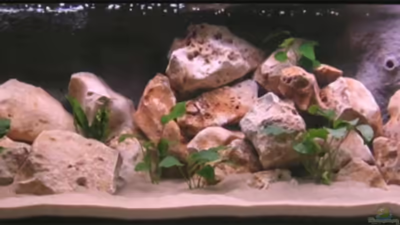 Gesammtanicht von Pepe1981 (1)