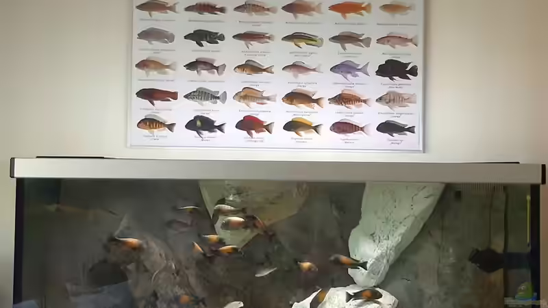 Gesammtansicht im Gästezimmer von A. Schmidt (7)