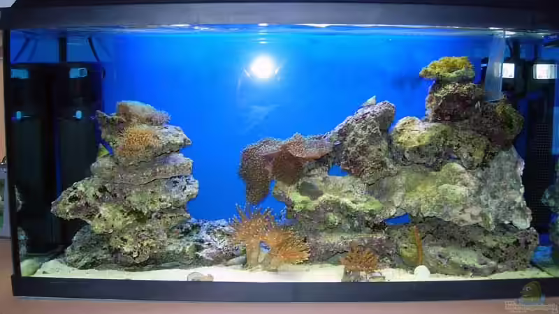 Gesammtansicht vom 18.11.2007