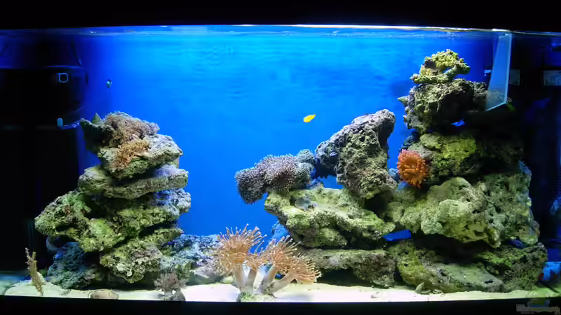 Gesammtansicht vom 25.11.2007 von Stefan Kamp (2)