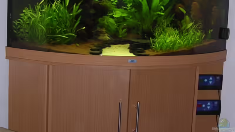 Gesammtansicht von Christian Grunwald (19)