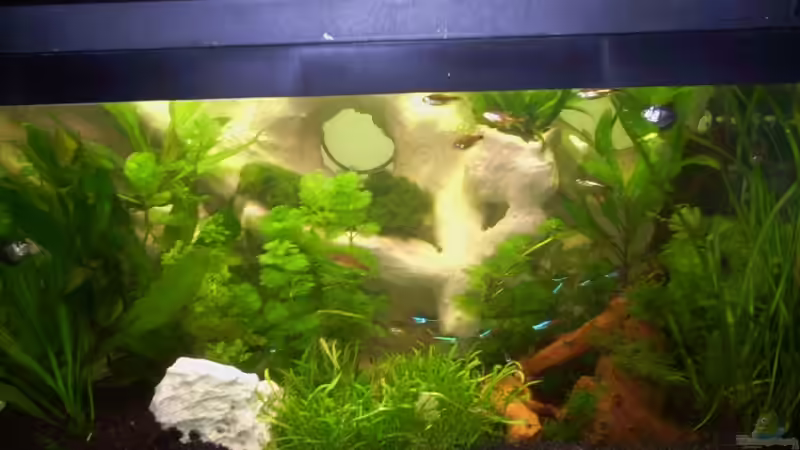 Gesammtansicht von Hans Grutschnig (3)