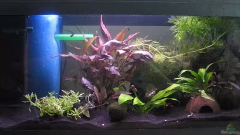 Gesammtansicht von julian2010 (1)