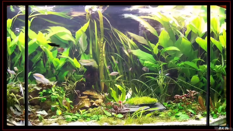 Gesammtansicht von Michael Hofmann (1)