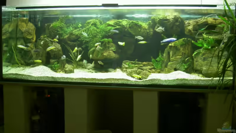 Gesammtansicht von Thorsten Peetz (1)