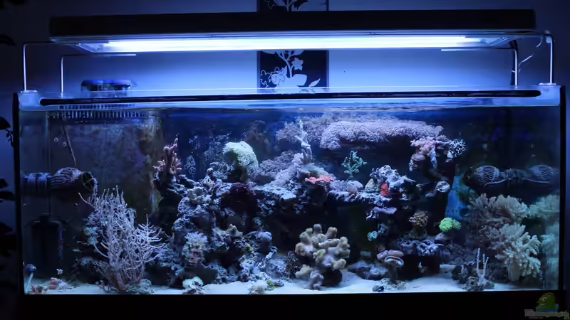 Gesamt 02.09.2014 von Jane Vogeler (36)