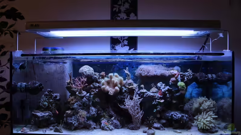 Gesamt 15.01.2014 von Jane Vogeler (32)