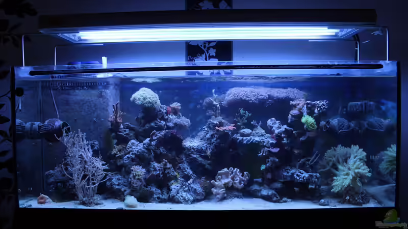 Gesamt 18.05.2014 von Jane Vogeler (34)