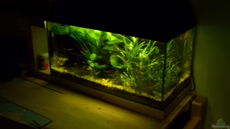 Gesamt 20.06.08 von Julian Garnisch (5)