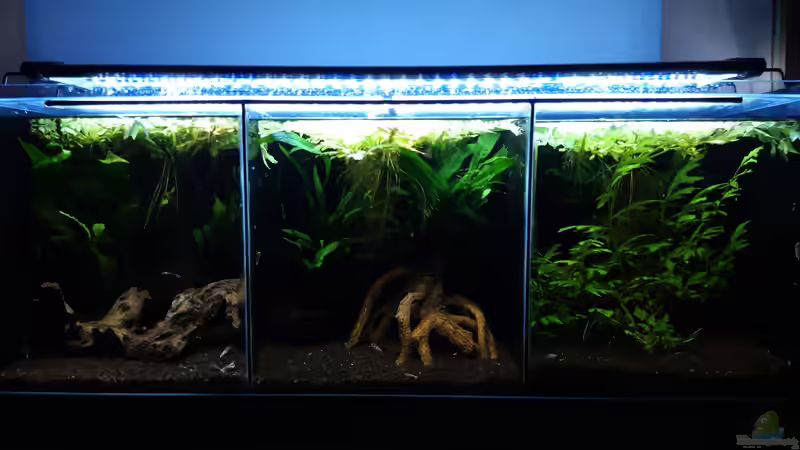 Gesamt_20100114 von Mich (12)