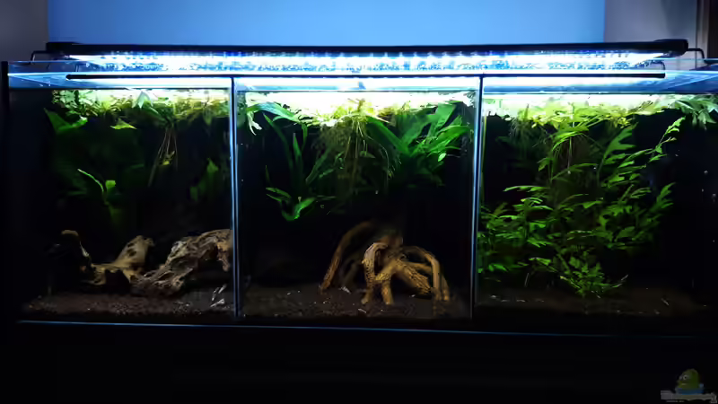 Gesamt_20100114 von Mich (13)