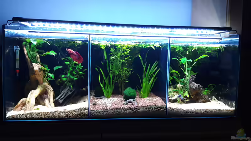 Gesamt_20190506 von Mich (25)