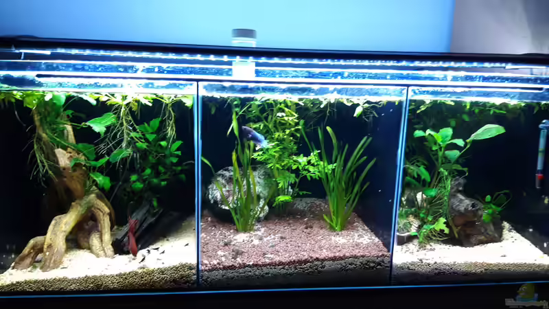 Gesamt_20190516 von Mich (24)