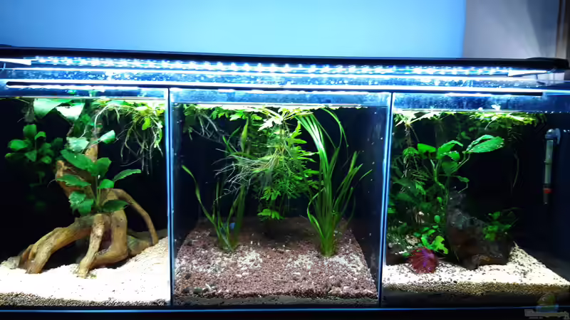 Gesamt_20190616 von Mich (21)