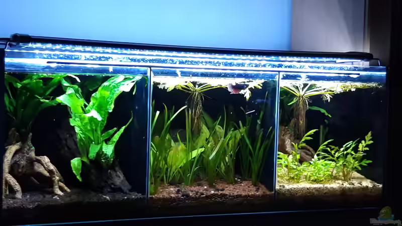 Gesamt_20191105 von Mich (16)